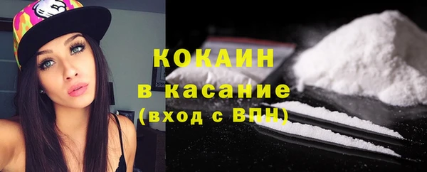 прущие крисы Корсаков