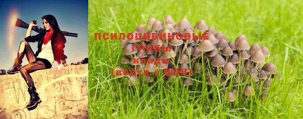 гашишное масло Козельск