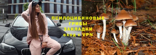бошки Кодинск