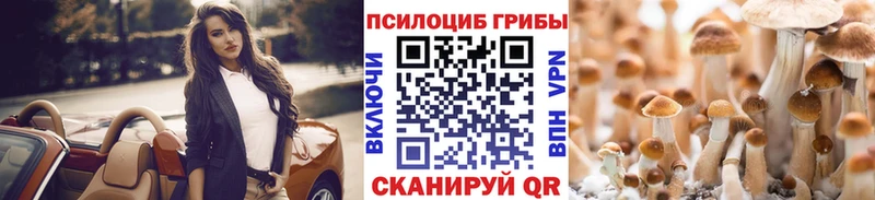 Псилоцибиновые грибы мицелий  Купить где  Сретенск 
